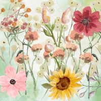 Short Stories – Sunshine & Coffee